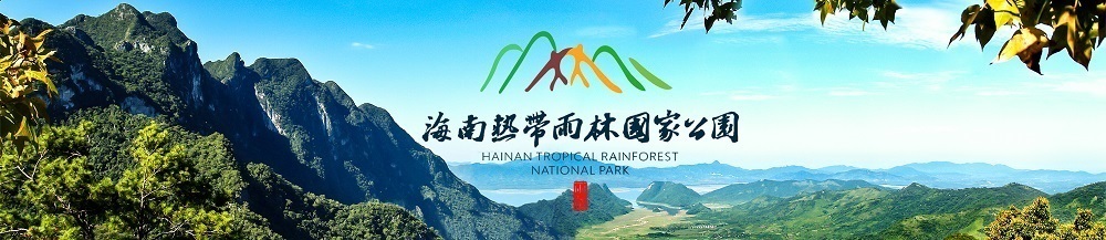 海南热带雨林国家公园管理局霸王岭分局